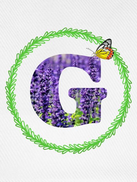 lavendel g