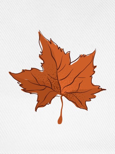 Herbstblatt Herbst Blatt