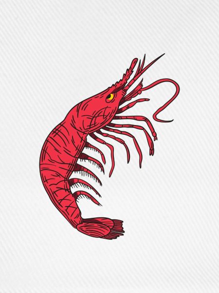 Shrimp Languste Krabbe