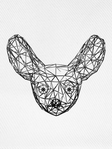 Metallischer geometrischer Fennekfuchs