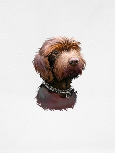 Pudelpointer Hund Aquarell Illustration