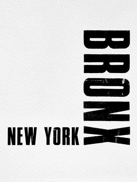 Bronx New York