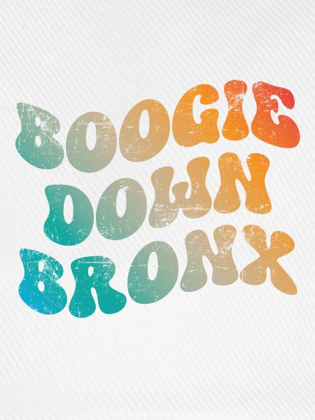 Boogie Down Bronx