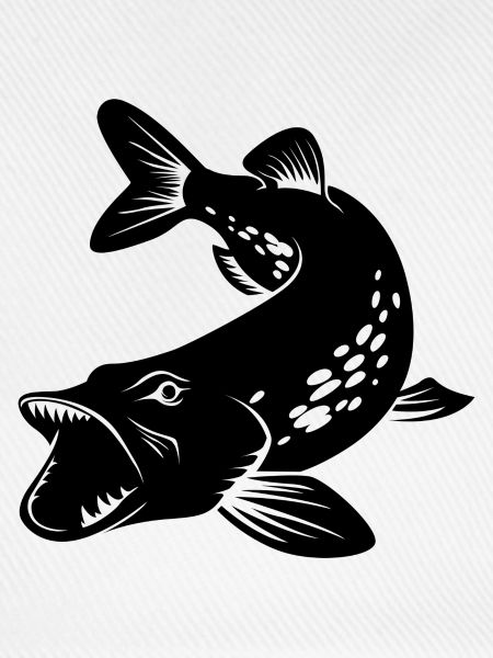 Hecht Raubfisch Angeln