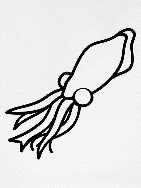 Tintenfisch