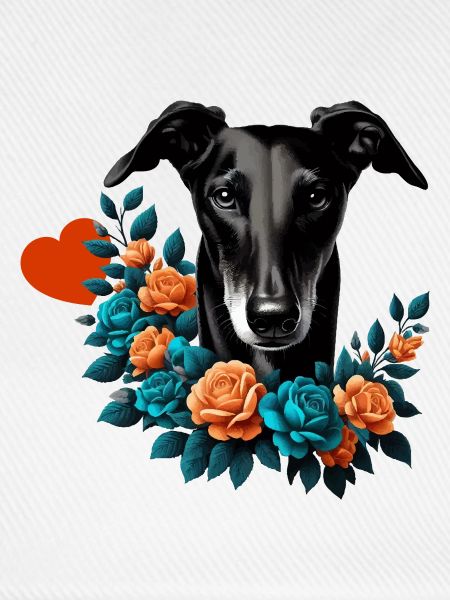 Galgo Blackbeauty Nr01