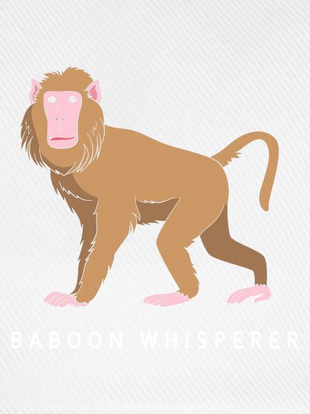 Baboon Pavian Primat Affe Affen
