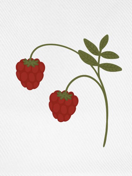 Himbeeren