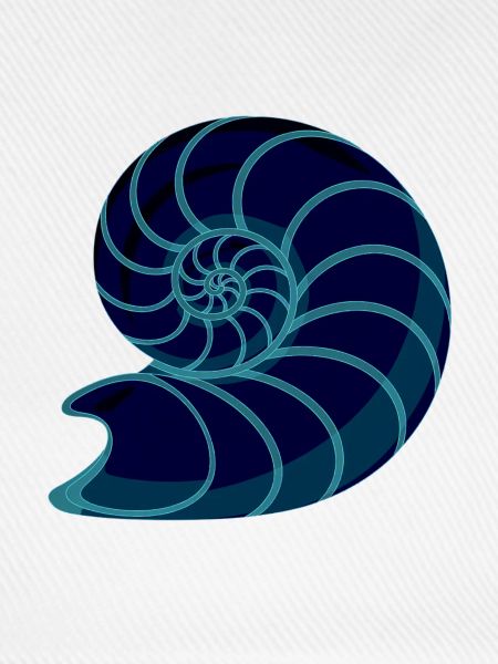 Neon Blaue ammonit Spirale