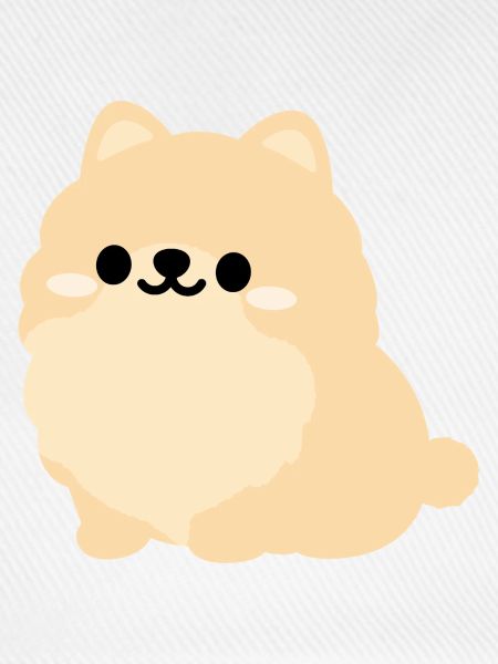 Pastell-Pomeranien-Welpe