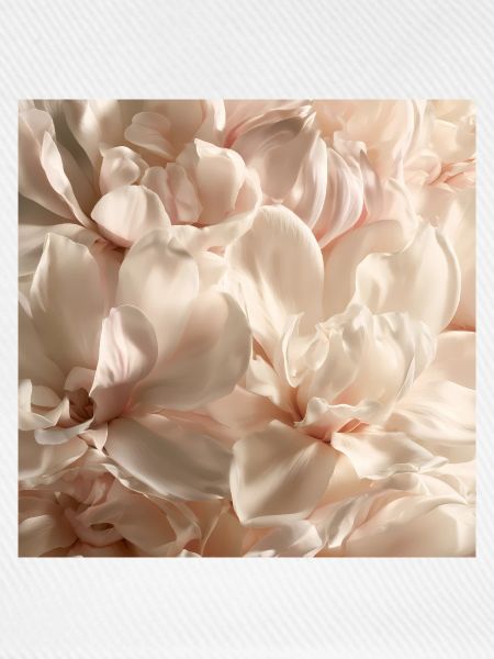 Pastellblütenblätter rosa cremefarben