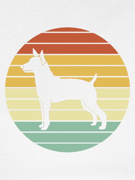 Rat Terrier
