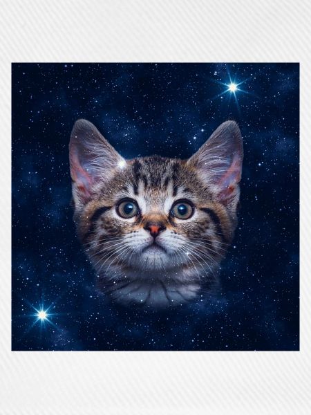 Katzenstern im Weltraum