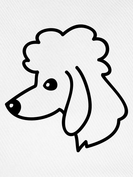 Pudel Portrait
