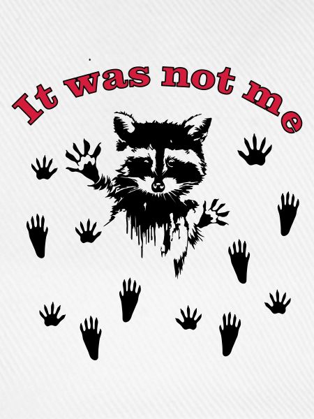 Racoon/Waschbär