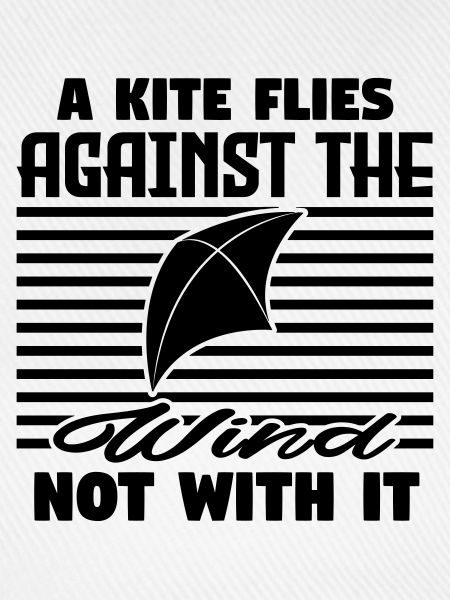 A kite flies against