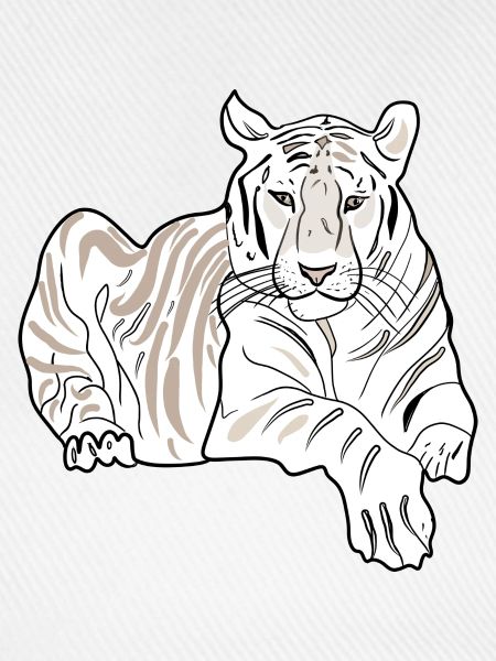 LIEGENDER TIGER