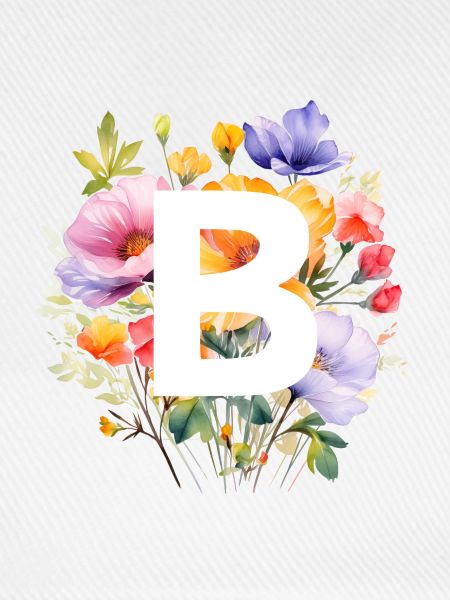 B Monogramm , bunter Blumenstrauss