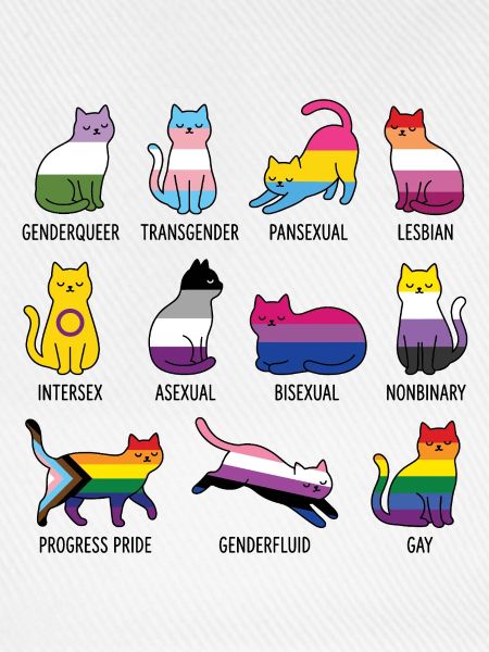 LGBTQ-Pride-Monat – Rainbow Cats