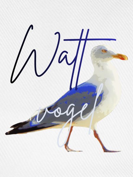 Nordsee Möwe Wattvogel Ostsee