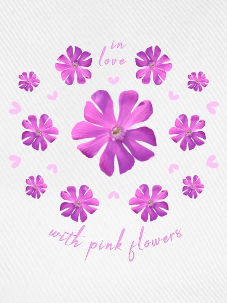 Pinke Blumen rosa Blumenmuster