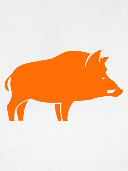 Wildschweinjäger