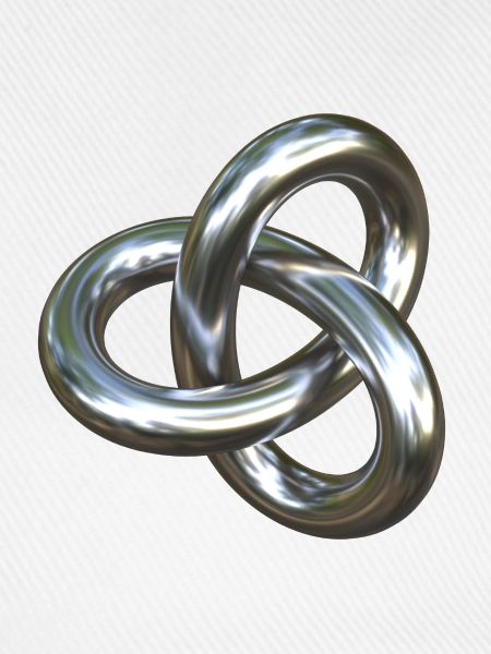 Torusknoten Silber 3D