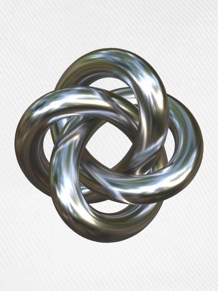 Torusknoten Silber 3D