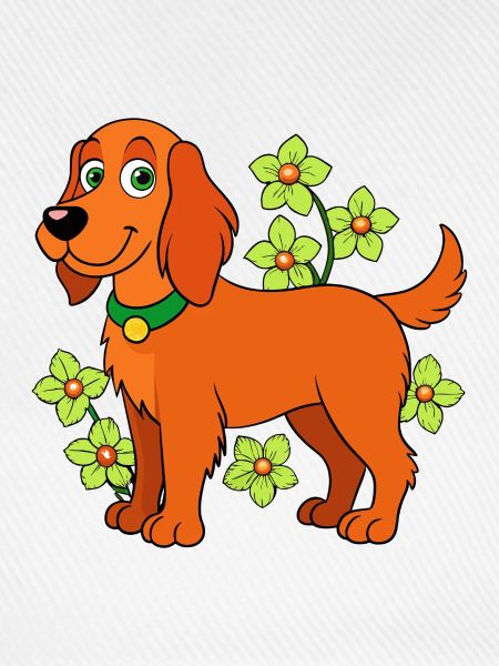 Irischer Setter
