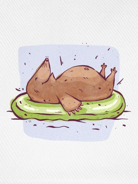 Mole Auf Wasser
