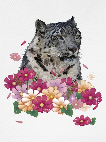 Schneeleopard