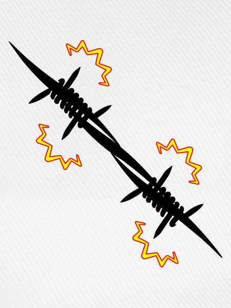 Elektrozaun Stacheldraht