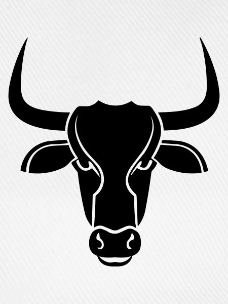 Stier