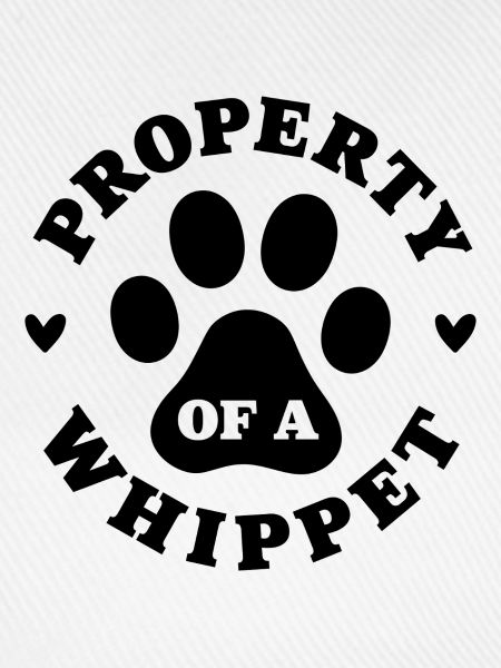 Eigentum eines Whippets