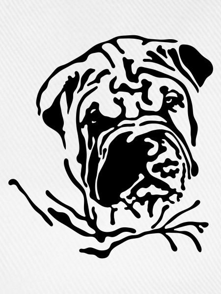 Shar-Pei