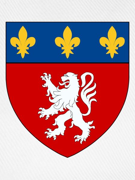 Heraldisches Wappen von Lyon