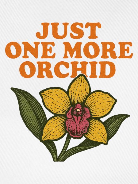 Nur noch eine Orchidee