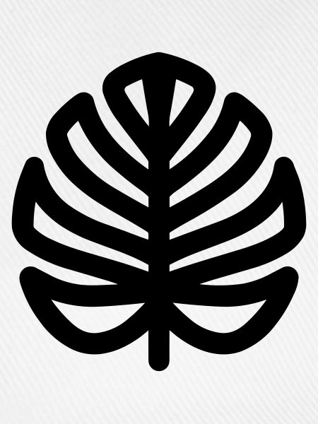 Monstera-Blatt