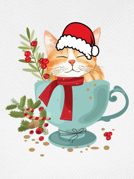 Katze mit Weihnachtsmütze 