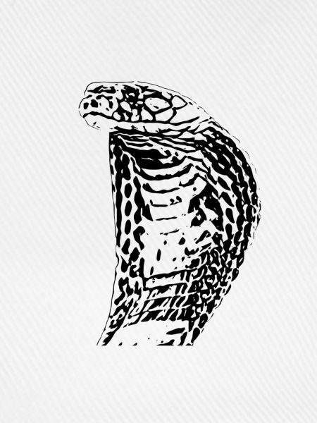 Cobra