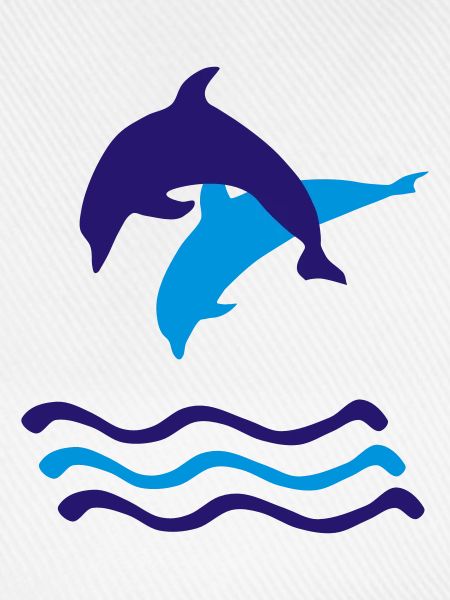 Delfine, Delfin