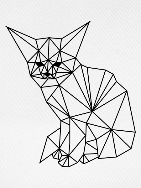 Wüstenfuchs