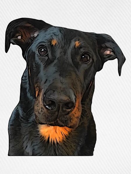 Blick auf den Beauceron