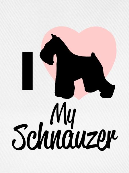 schnauzer