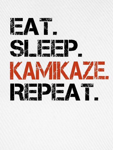 eat sleep kamikaze repeat