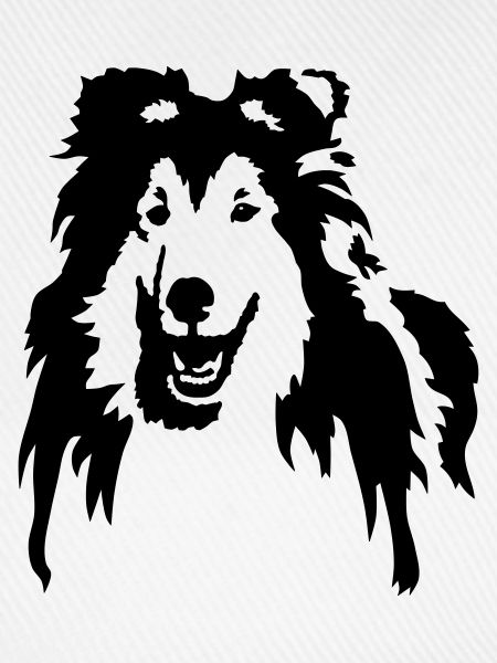 Collie