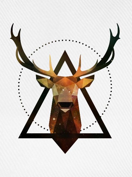 Hirsch Geometrie