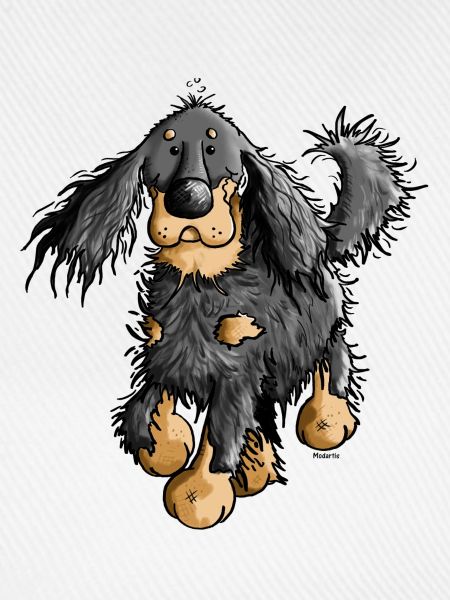 Flinker Gordon Setter - Hund