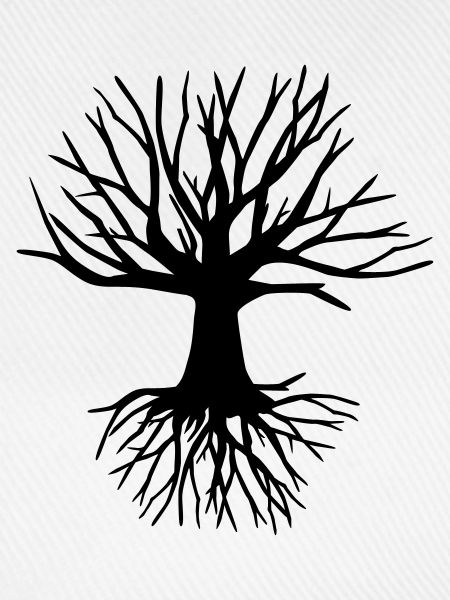 Baum und Wurzel