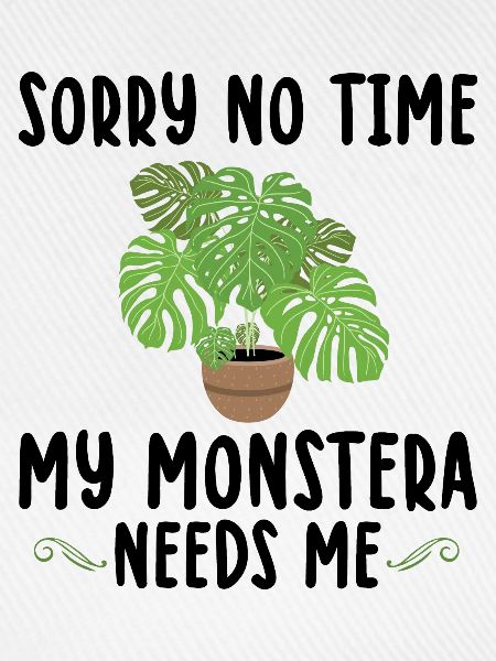 Monstera